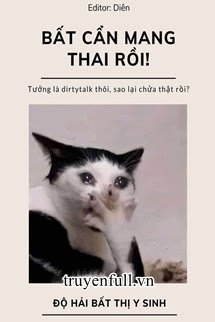 BẤT CẨN MANG THAI RỒI